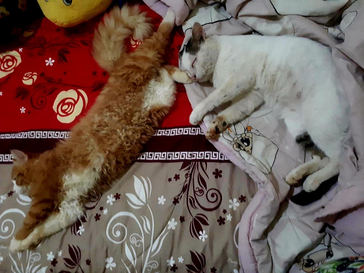 Selamat jalan, Billy… 